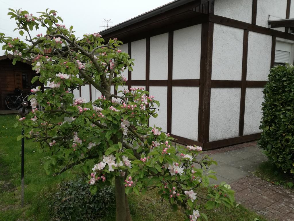 Ferienhaus Apfelblüte Twielenfleth Exterior foto